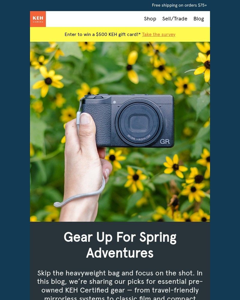 Screenshot of email sent to a KEH Camera Newsletter subscriber