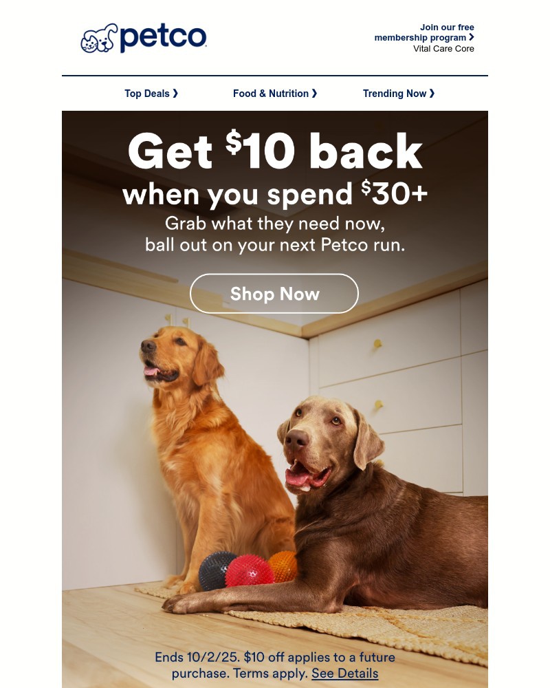 Screenshot of email with subject /media/emails/get-10-back-when-you-spoil-your-pet-99eeaf-cropped-8a191326.jpg