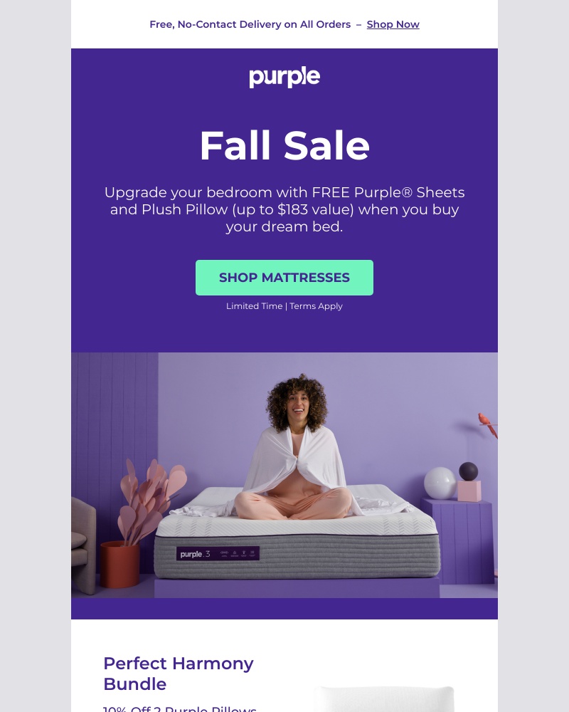 Screenshot of email with subject /media/emails/get-10-off-select-bundles-free-sheets-pillow-with-mattress-10e435-cropped-2e5f17ca.jpg