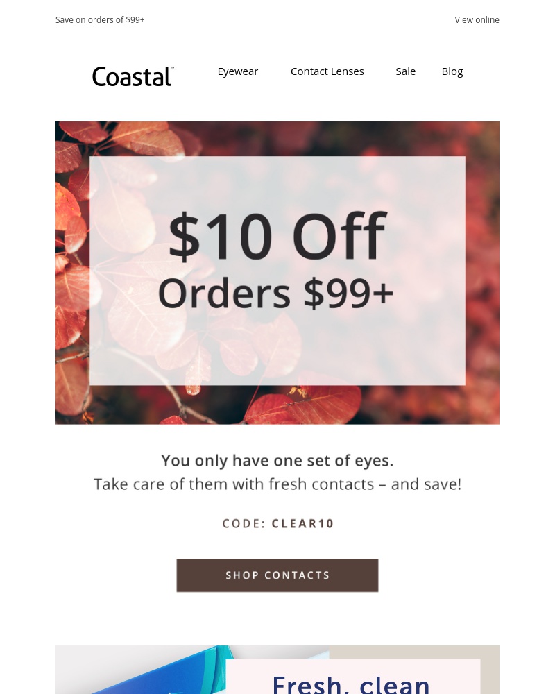 Screenshot of email with subject /media/emails/get-10-off-your-contacts-1-cropped-80b93289.jpg