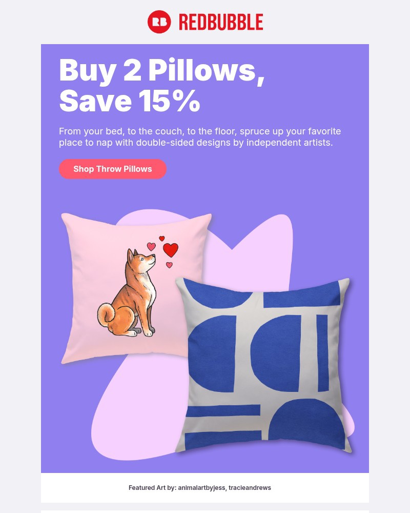 Screenshot of email with subject /media/emails/get-15-off-on-throw-pillows-for-you-and-a-bestie-22a2e3-cropped-667c2c88.jpg