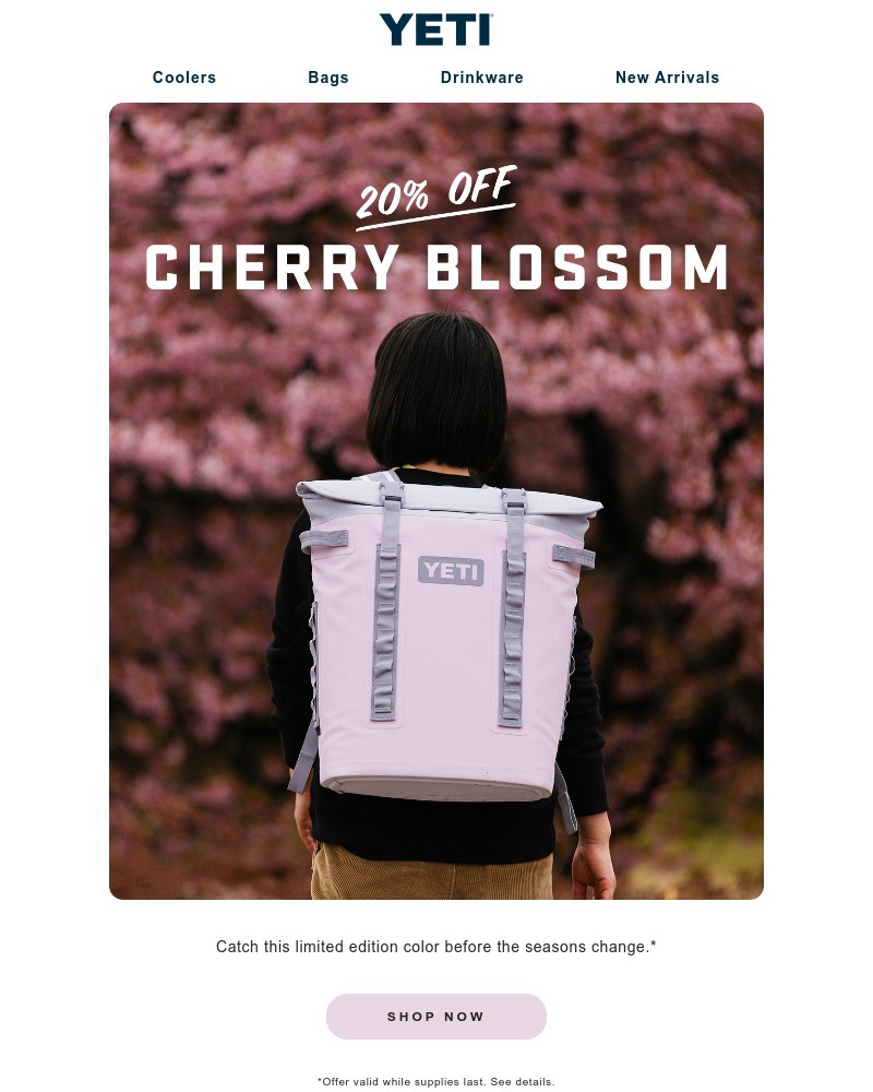 Screenshot of email sent to a Yeti Newsletter subscriber