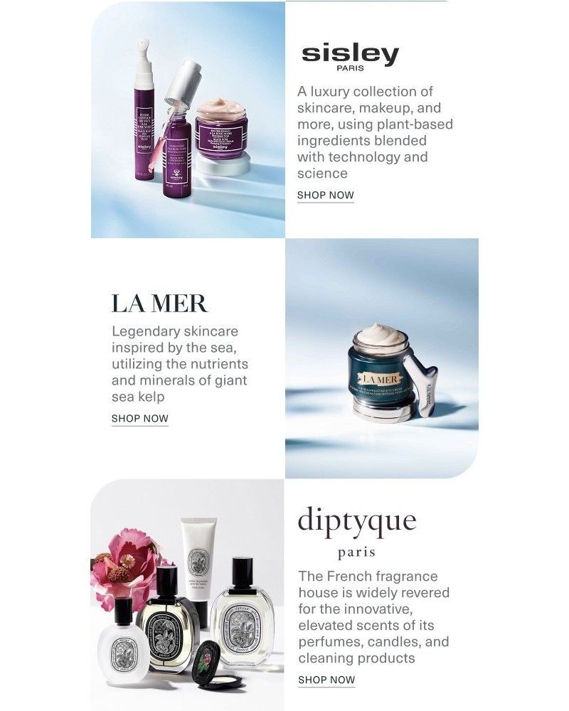 Screenshot of email with subject /media/emails/get-20-off-these-powerhouse-brands-cd481d-cropped-fba1ce41.jpg