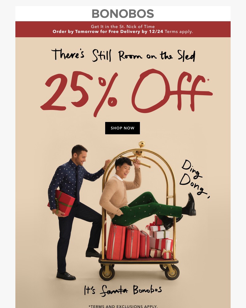 Screenshot of email with subject /media/emails/get-25-off-by-tomorrow-for-holiday-delivery-431ea5-cropped-4977ce30.jpg