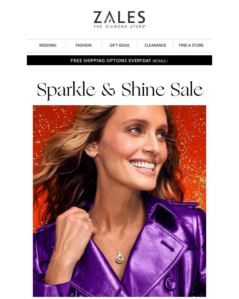 Screenshot of email with subject /media/emails/get-25-off-everything-at-sparkle-shine-sale-e5d3cf-cropped-b72c5cfa.jpg