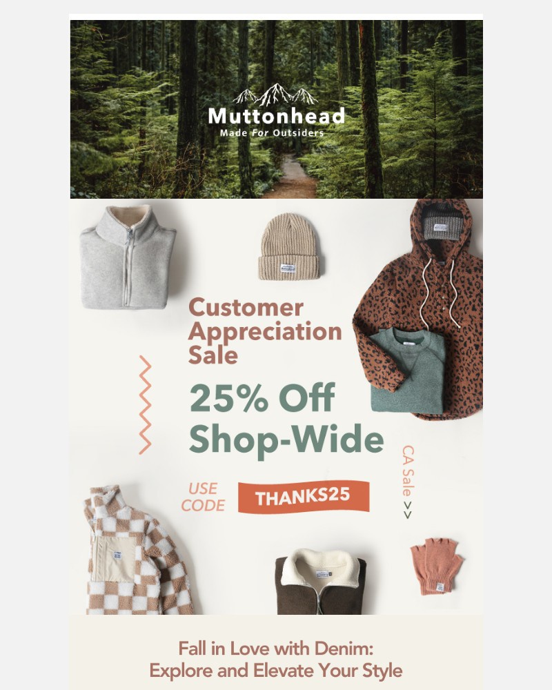 Screenshot of email with subject /media/emails/get-25-off-shop-wide-in-our-customer-appreciation-sale-45541b-cropped-8459e281.jpg