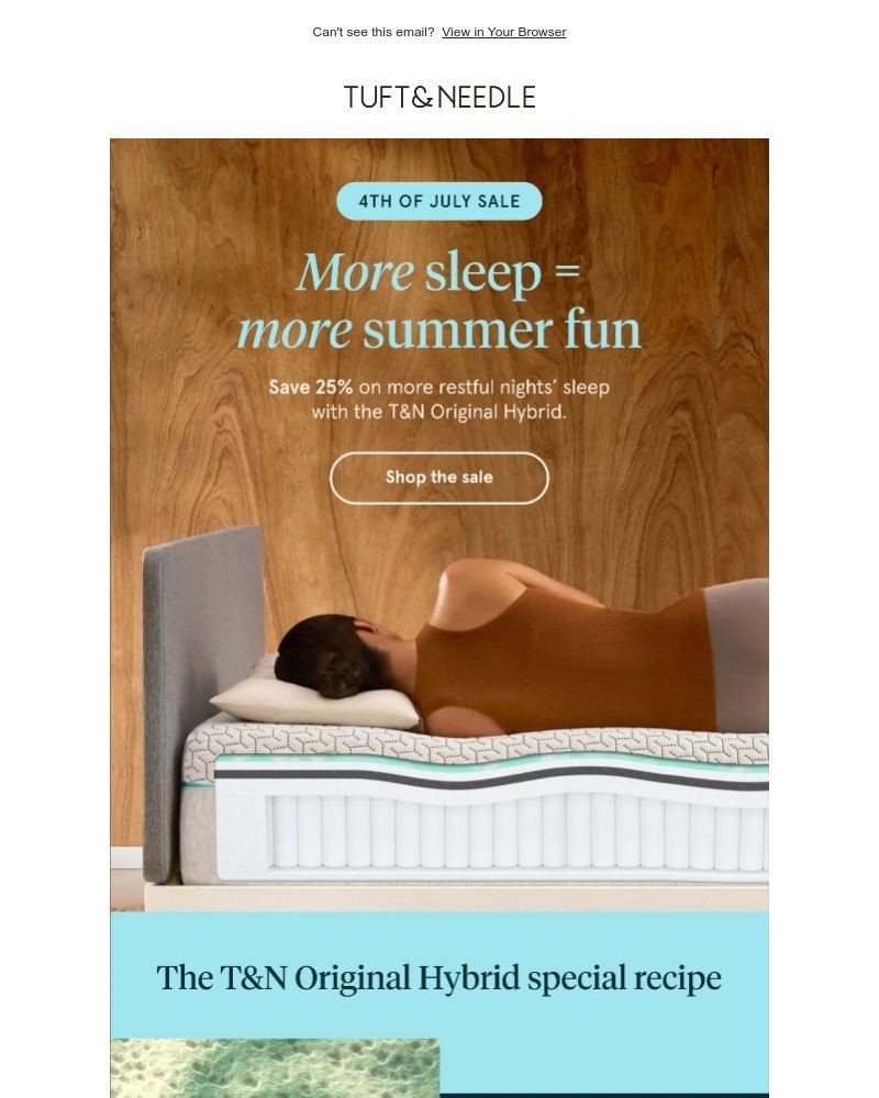 Screenshot of email with subject /media/emails/get-25-off-the-tn-original-hybrid-a7a993-cropped-5ad897ea.jpg