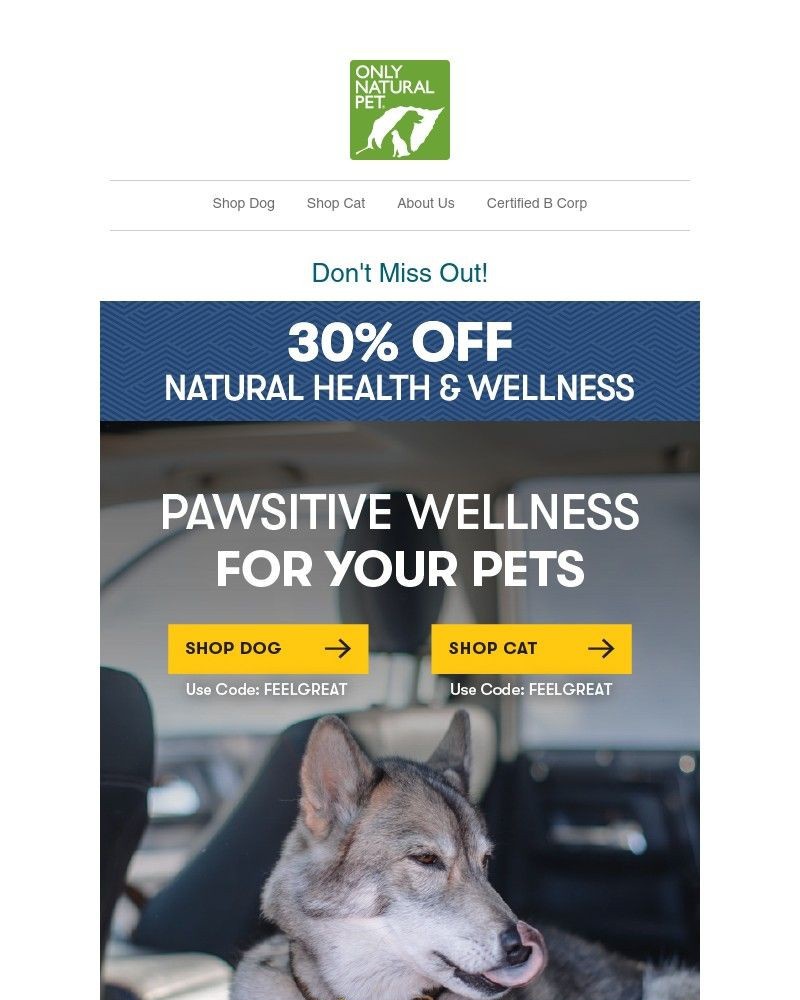 Screenshot of email with subject /media/emails/get-30-off-natural-wellness-support-a0d2ec-cropped-8576b5a4.jpg