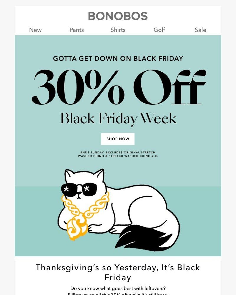 Screenshot of email with subject /media/emails/get-30-off-now-thank-yourself-later-17fc3d-cropped-dd3974c1.jpg