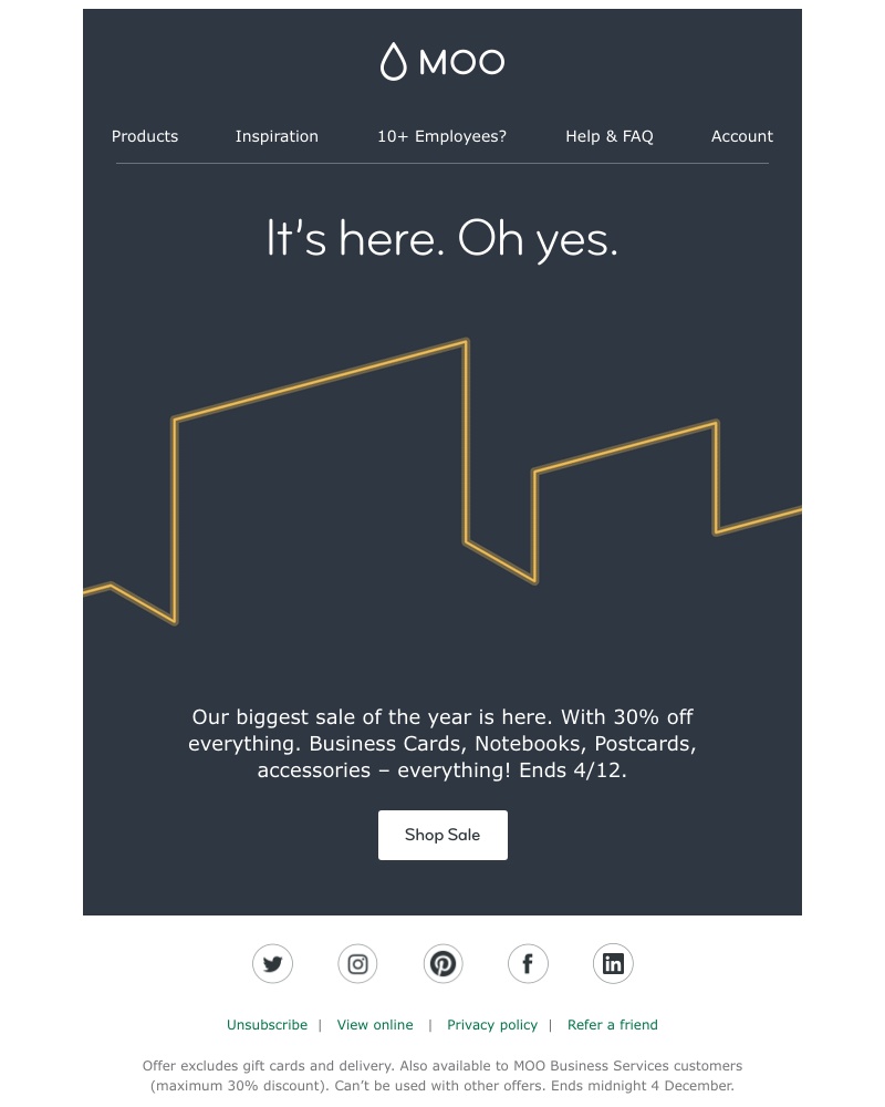 Screenshot of email with subject /media/emails/get-30-off-on-everything-cropped-a1310259.jpg