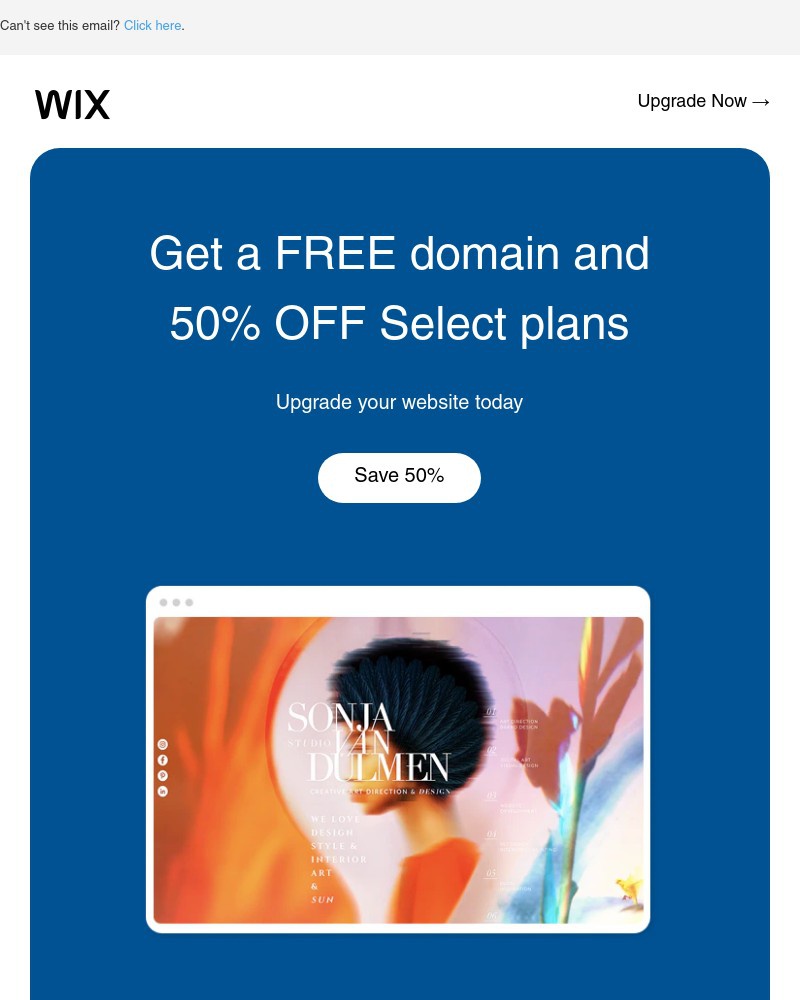 Screenshot of email sent to a Wix Registered user