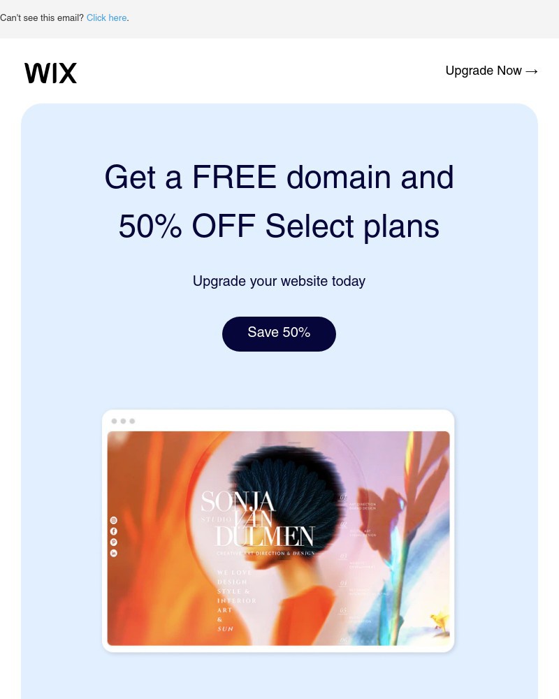 Screenshot of email sent to a Wix Registered user