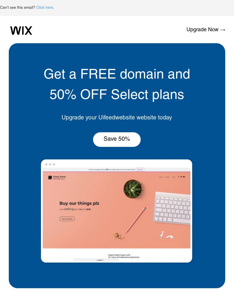 Screenshot of email sent to a Wix Registered user