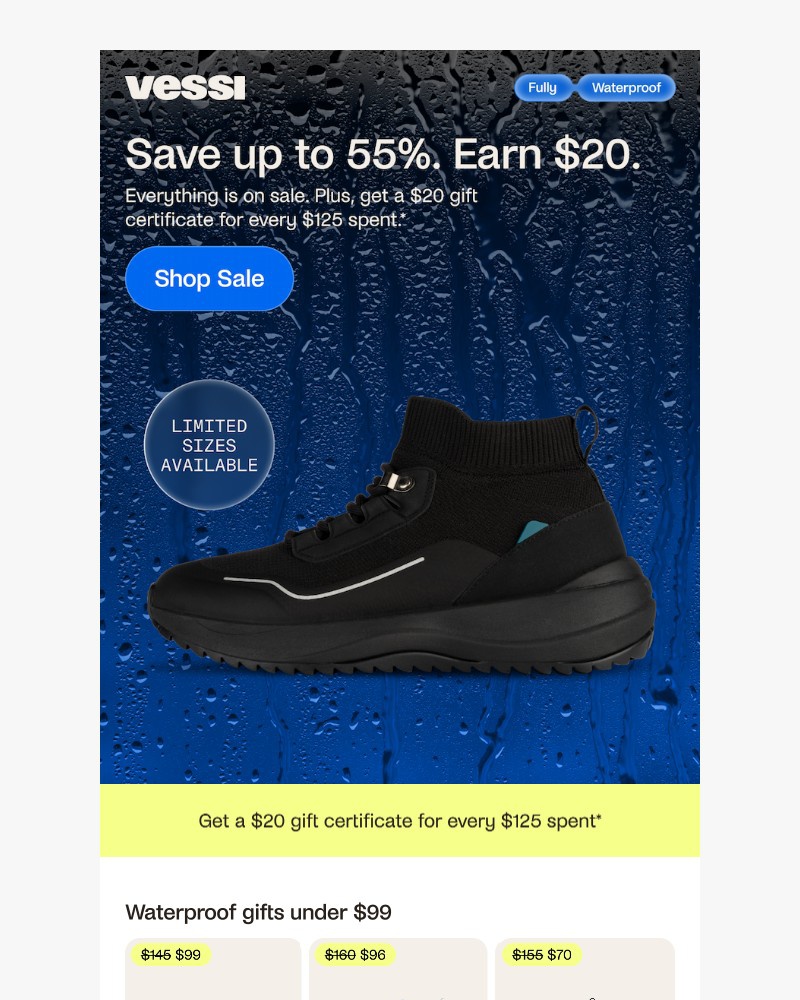 Screenshot of email sent to a Vessi Seller