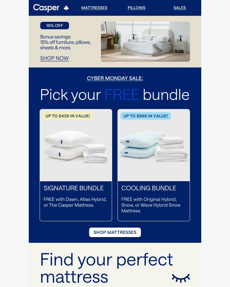 Screenshot of email with subject /media/emails/get-a-free-bundleup-to-866-value-inside-e57447-cropped-f197657d.jpg