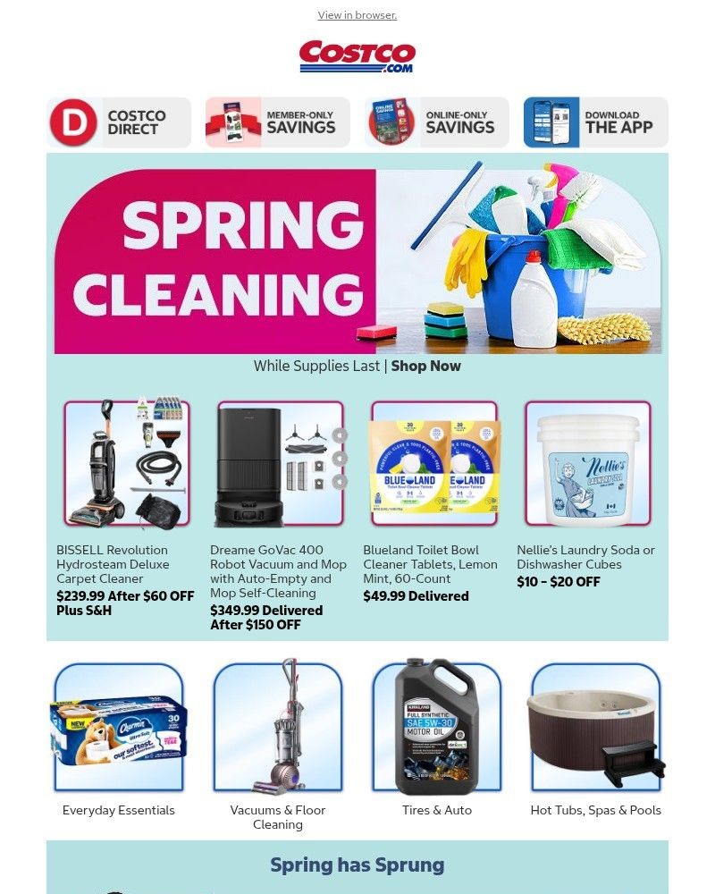 Screenshot of email with subject /media/emails/get-a-fresh-start-deals-on-vacuums-laundry-detergent-and-cleaning-essentials-c8eb_Zjbh7dG.jpg