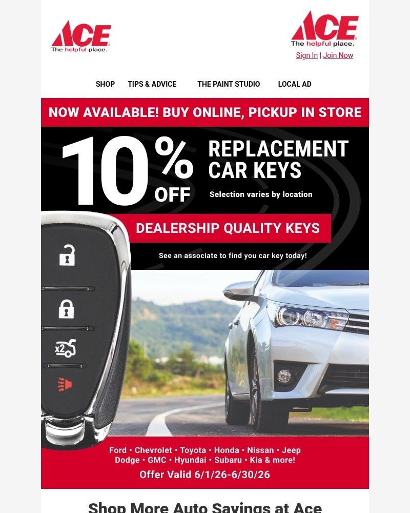 Screenshot of email sent to a Ace Hardware Newsletter subscriber