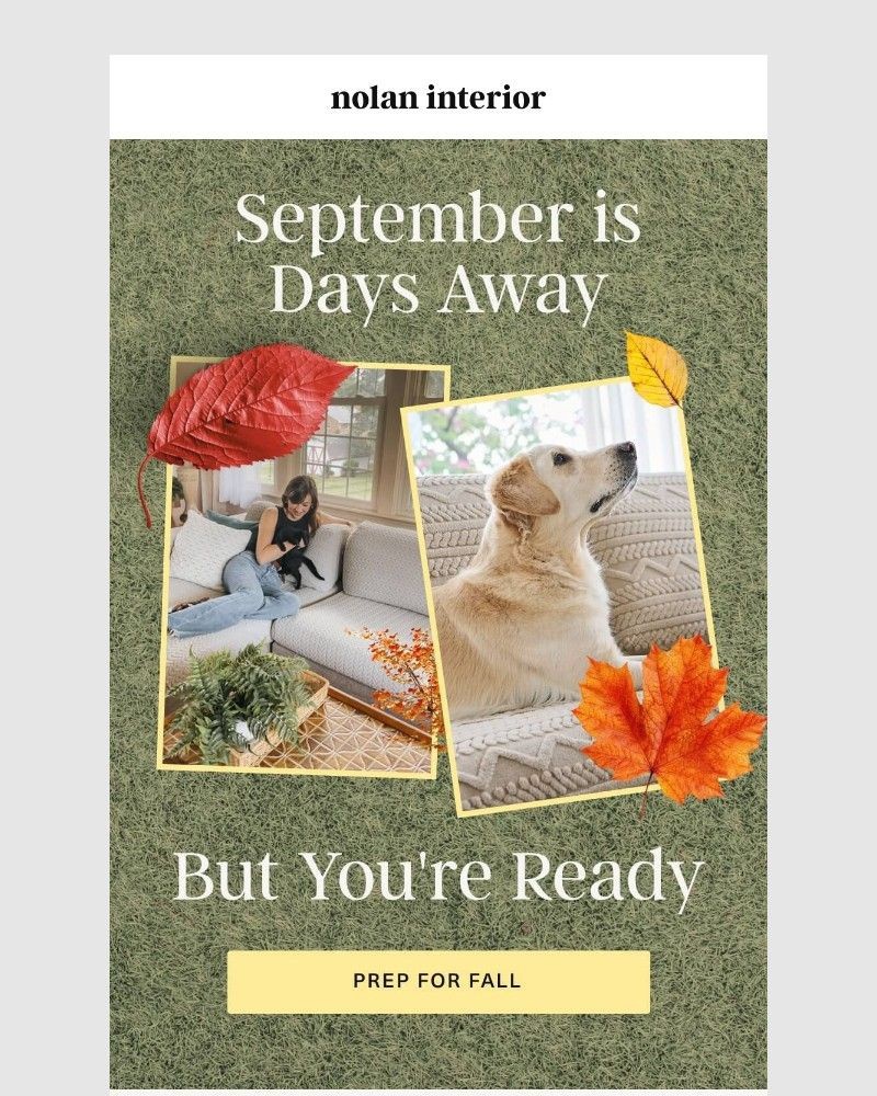 Screenshot of email with subject /media/emails/get-ahead-of-cozy-season-83cbb7-cropped-06833523.jpg