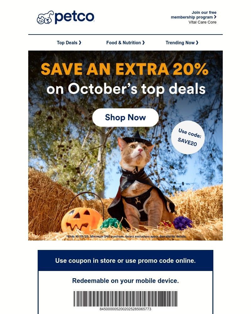 Screenshot of email with subject /media/emails/get-an-extra-20-off-your-pets-october-deals-672933-cropped-d826ccb7.jpg