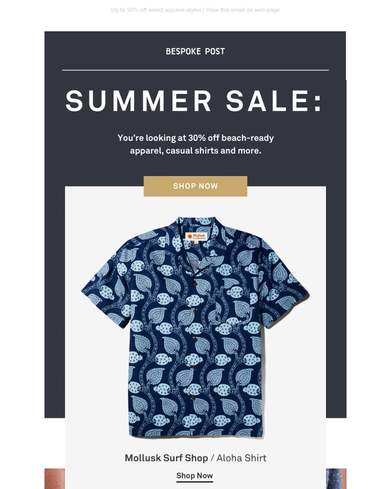Screenshot of email with subject /media/emails/get-beach-ready-with-our-summer-sale-af4561-cropped-9852c7e5.jpg