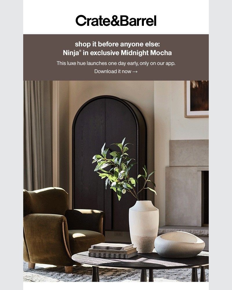 Screenshot of email with subject /media/emails/get-beautifully-organized-4a53b9-cropped-ef40b189.jpg