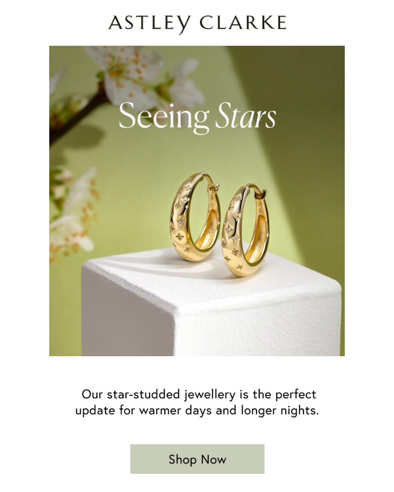 Screenshot of email sent to a Astley Clarke Newsletter subscriber