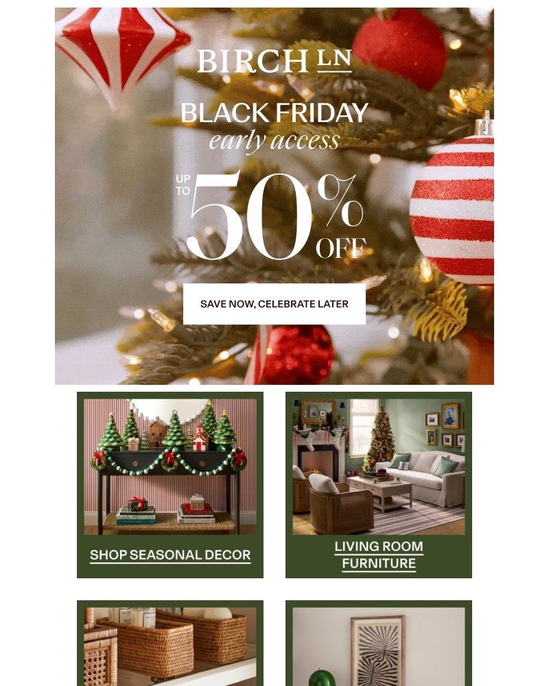 Screenshot of email sent to a Birch Lane Newsletter subscriber