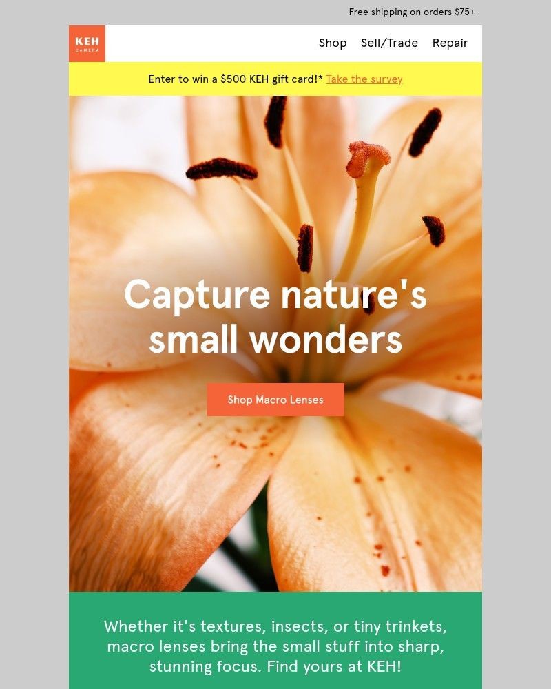 Screenshot of email with subject /media/emails/get-closer-with-keh-certifiedtm-macro-lenses-95efe5-cropped-3fa88014.jpg