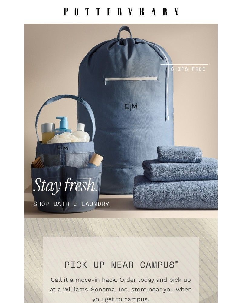 Screenshot of email sent to a Pottery Barn Cart abandoner