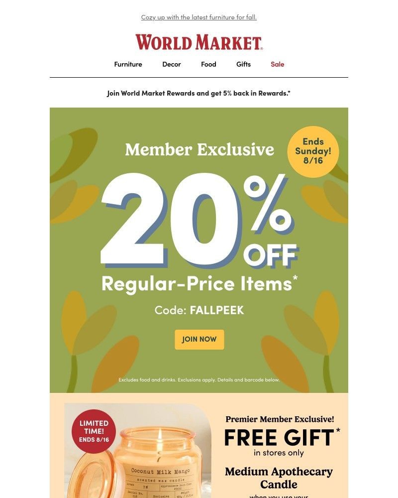 Screenshot of email with subject /media/emails/get-everything-you-love-at-20-off-5f00d8-cropped-87141cd7.jpg