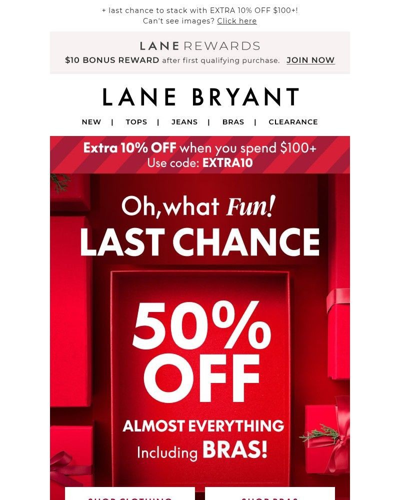 Screenshot of email sent to a Lane Bryant Newsletter subscriber