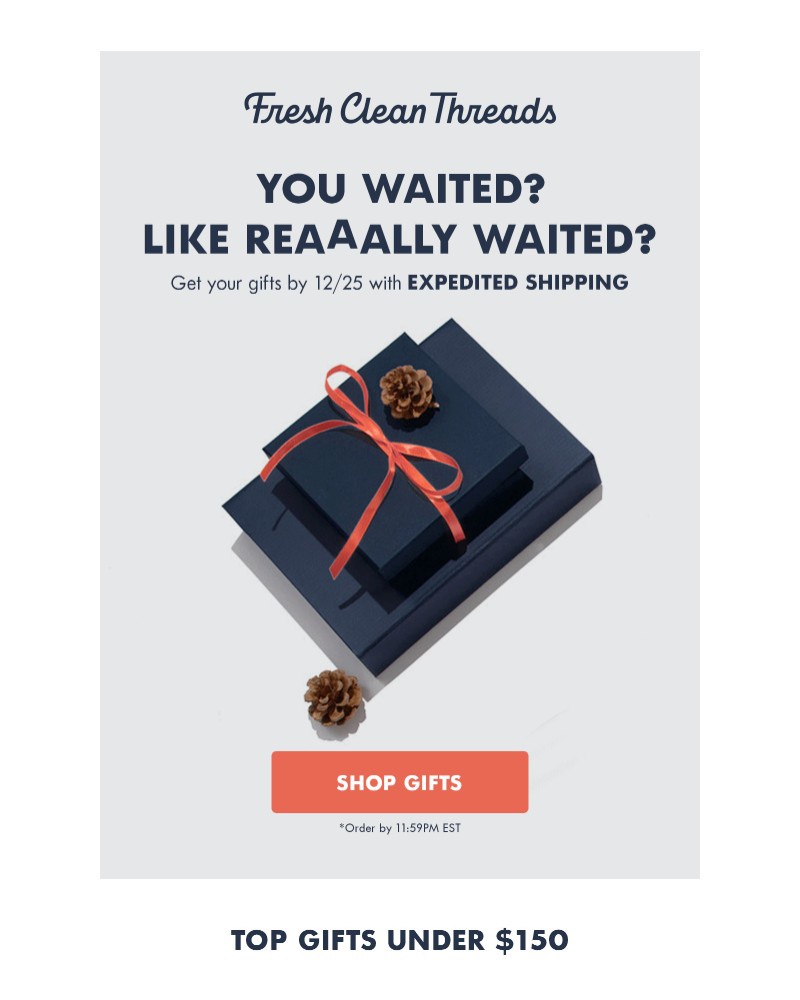 Screenshot of email sent to a Fresh Clean Threads Newsletter subscriber