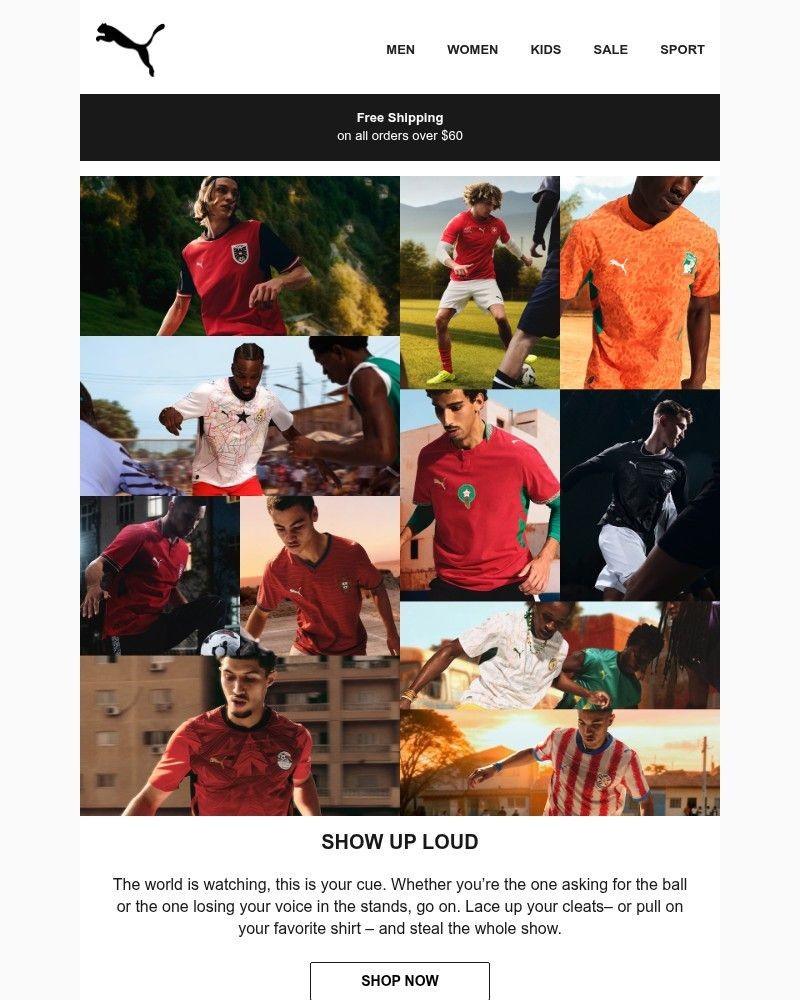 Screenshot of email sent to a Puma Newsletter subscriber
