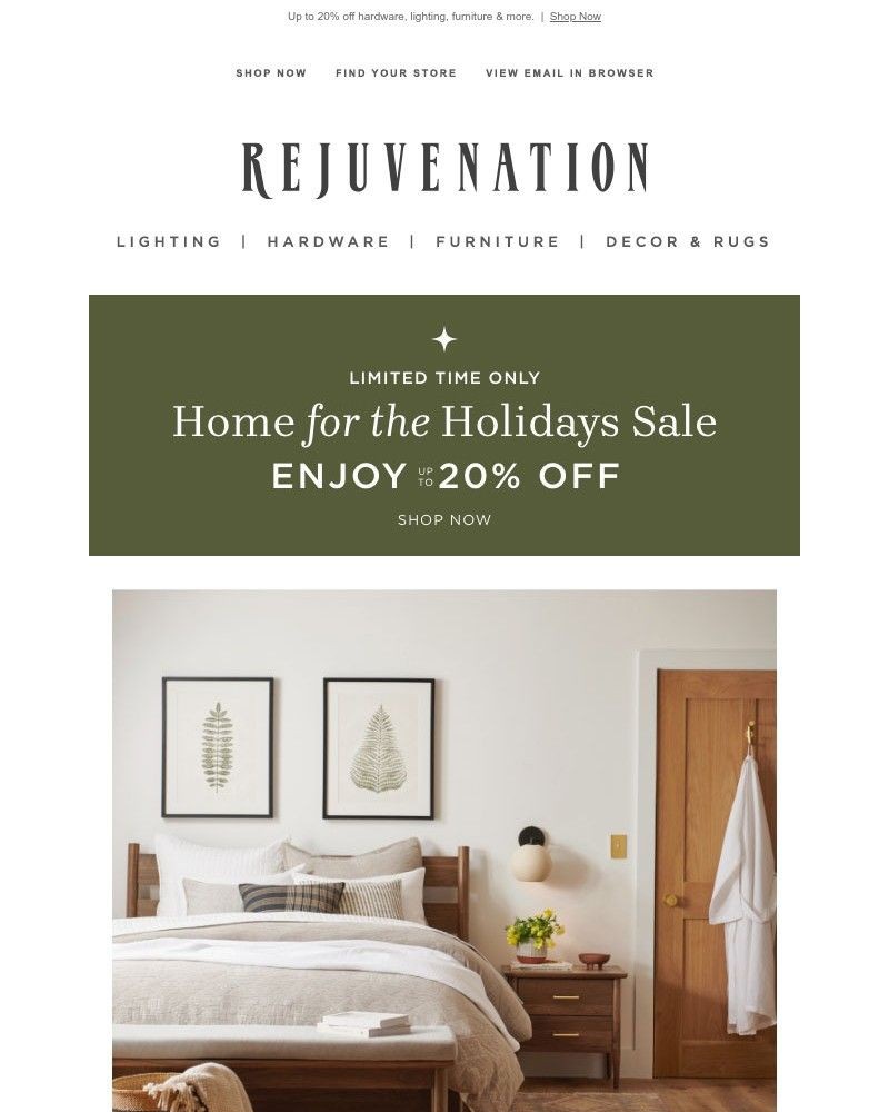 Screenshot of email with subject /media/emails/get-organized-and-save-during-our-home-for-the-holidays-sale-f00b37-cropped-0f4129d9.jpg