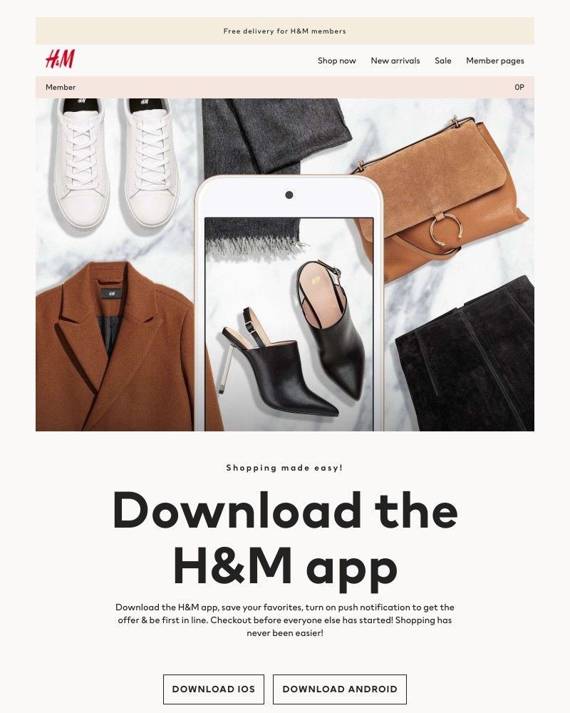 Screenshot of email with subject /media/emails/get-ready-for-a-frictionless-black-friday-d14b15-cropped-50c59bb7.jpg
