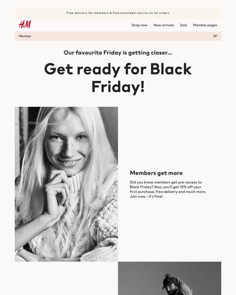 Screenshot of email with subject /media/emails/get-ready-for-black-friday-598d71-cropped-948d91be.jpg