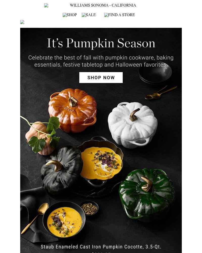Screenshot of email with subject /media/emails/get-ready-for-pumpkin-season-d907c8-cropped-fb2cecde.jpg