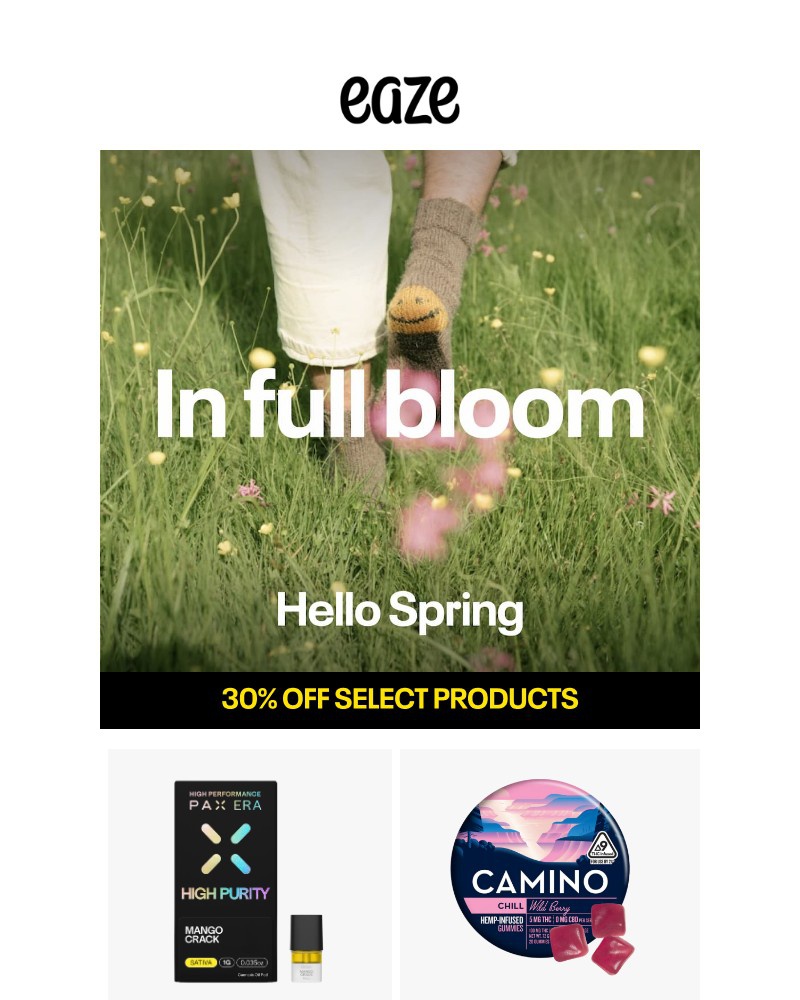 Screenshot of email with subject /media/emails/get-ready-for-spring-vibes-78aa29-cropped-92a17ddc.jpg