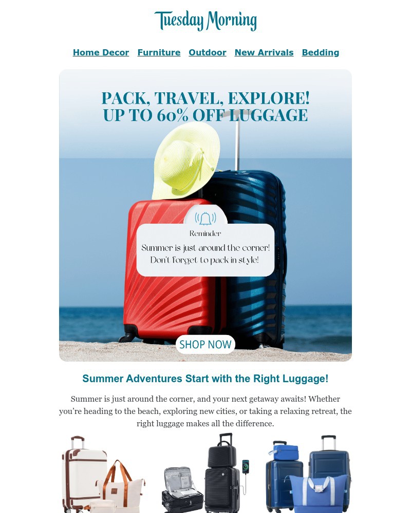 Screenshot of email with subject /media/emails/get-ready-for-summer-adventures-shop-our-luggage-sale-f36688-cropped-540e1201.jpg