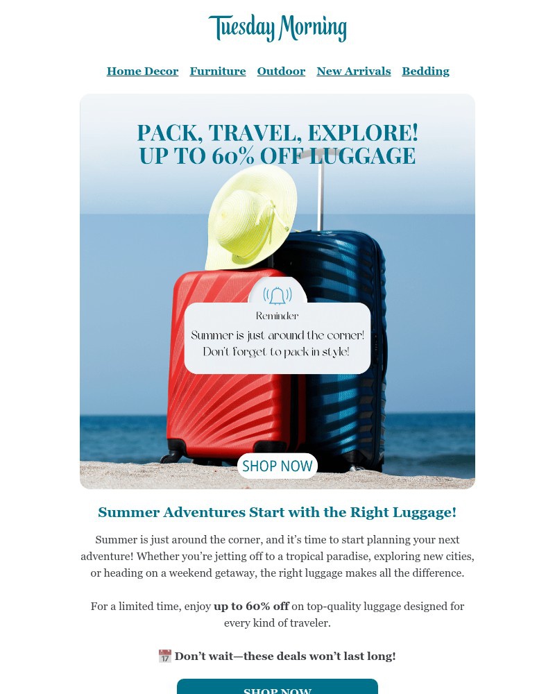 Screenshot of email with subject /media/emails/get-ready-for-summer-adventures-up-to-60-off-luggage-sale-77ebc1-cropped-418861b9.jpg