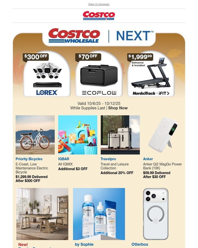 Screenshot of email with subject /media/emails/get-ready-for-the-holidays-with-costco-next-5b2f4b-cropped-ce304b17.jpg