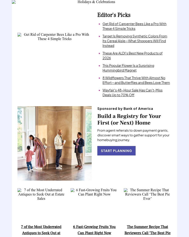 Screenshot of email with subject /media/emails/get-rid-of-carpenter-bees-like-a-pro-with-these-4-simple-tricks-2acf9d-cropped-a8cfa3a6.jpg