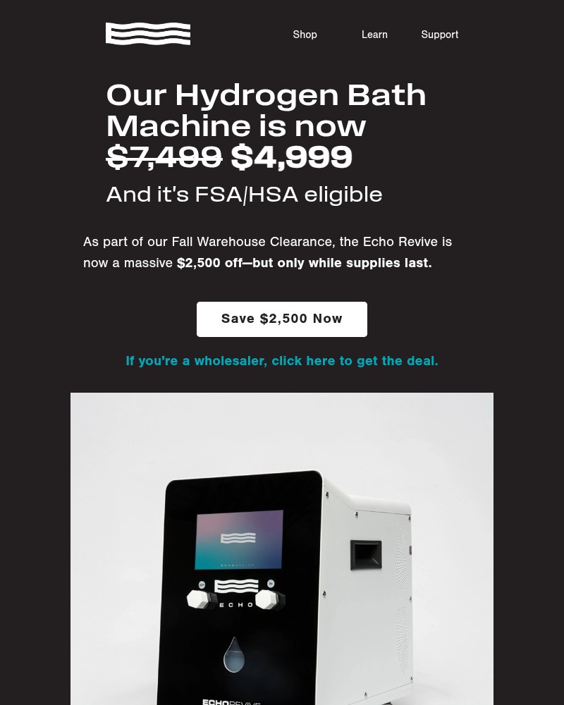 Screenshot of email with subject /media/emails/get-the-echo-revive-for-2500-off-0e17f0-cropped-30dac0a5.jpg