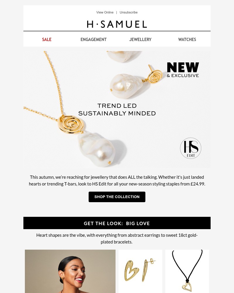 Screenshot of email with subject /media/emails/get-the-look-with-hs-edit-77311f-cropped-910553e1.jpg