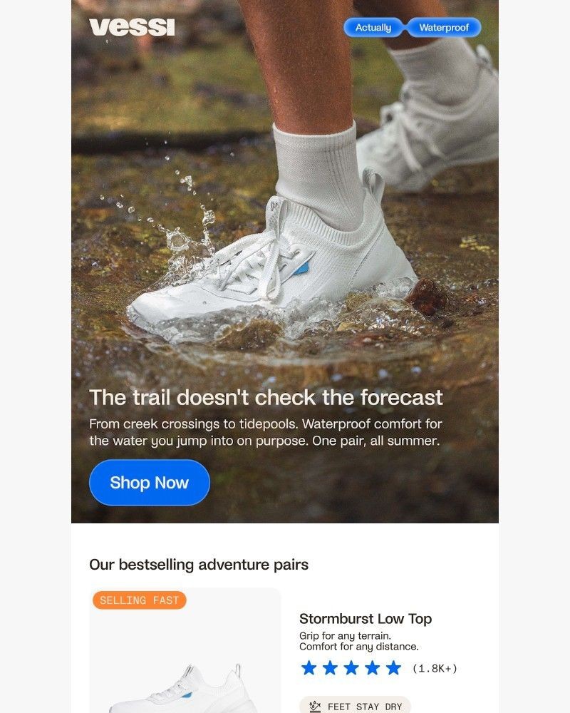 Screenshot of email sent to a Vessi Seller
