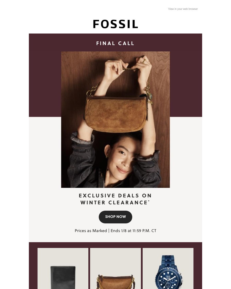 Screenshot of email with subject /media/emails/get-these-before-theyre-gone-for-good-0d0f61-cropped-7690d404.jpg