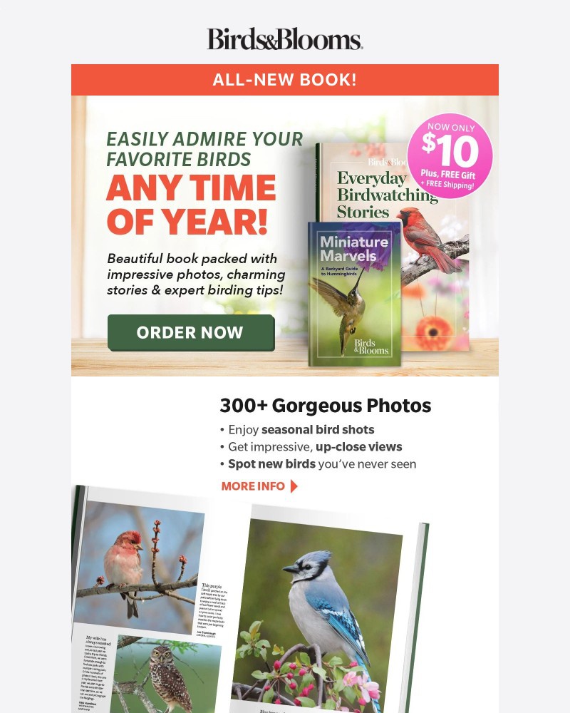 Screenshot of email with subject /media/emails/get-this-gorgeous-birdwatching-collection-everyone-is-raving-about-083ece-cropped_Kdi51sC.jpg