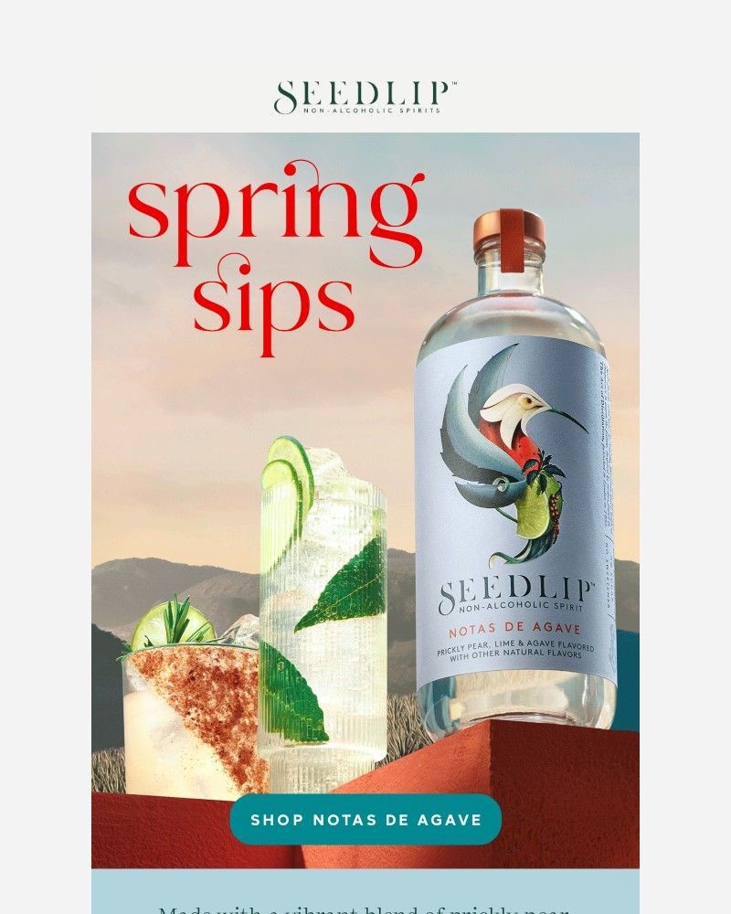 Screenshot of email sent to a Seedlip Newsletter subscriber