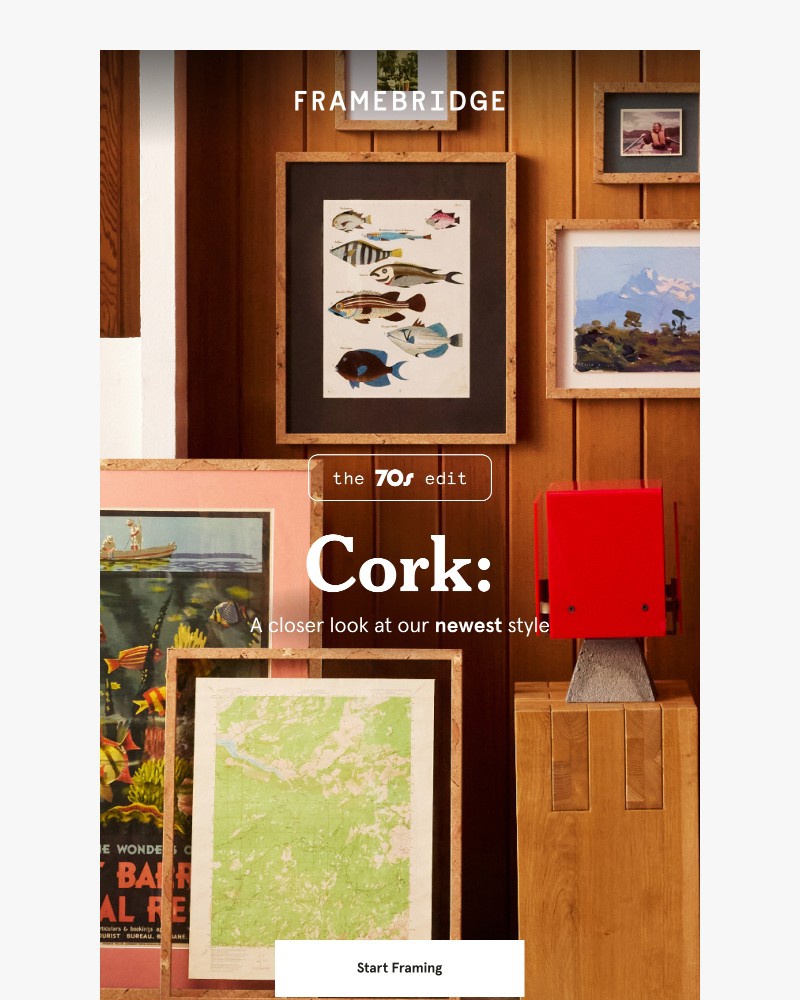 Screenshot of email with subject /media/emails/get-to-know-our-new-cork-wrapped-frame-685d57-cropped-438b4fff.jpg