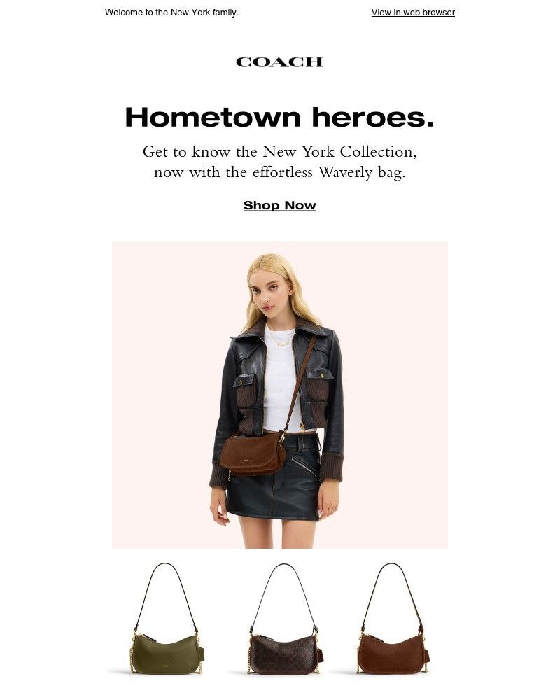 Screenshot of email with subject /media/emails/get-to-know-waverly-7665bb-cropped-a2235034.jpg